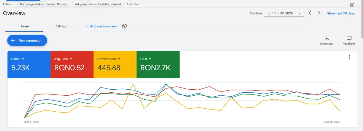 Google Ads dashboard for the managed Romanian account, June 2026: 5.23 thousand clicks, average cost per click 0.52 lei, 445.68 conversions and 2.7 thousand lei spent, with the month's daily chart below